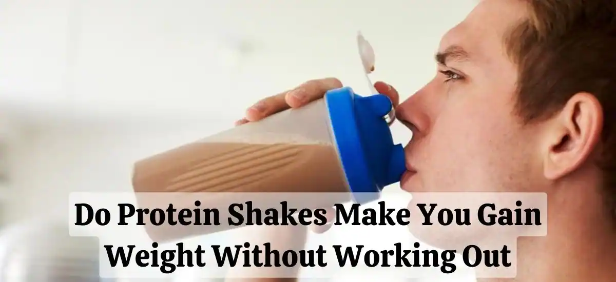 do protein shakes make you gain weight without working out